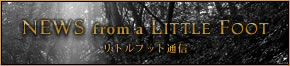 リトルフット通信