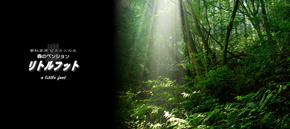 蓼科高原 ピラタスの丘 森のペンション リトルフット
